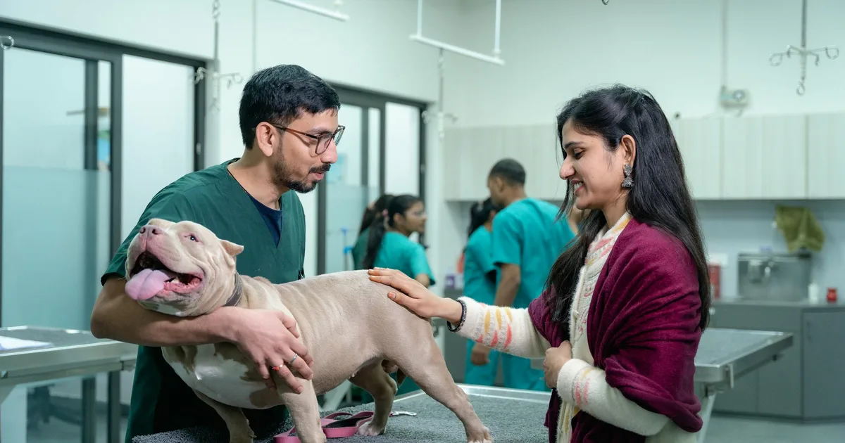 Veterinaria consultando con dueña y su perro en Medical Pets Ensenada