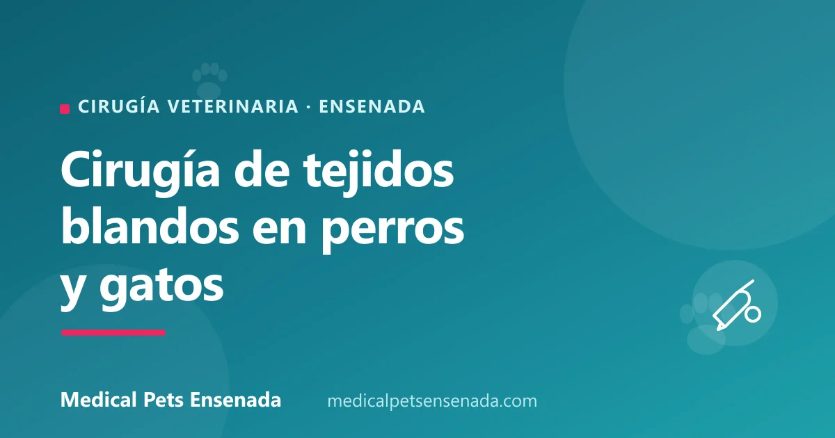 Cirugía de tejidos blandos en perros y gatos: guía completa