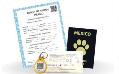 What are pet microchips and how do they work?