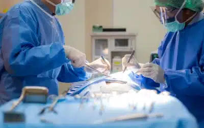 Guía definitiva para el cuidado postoperatorio de mascotas