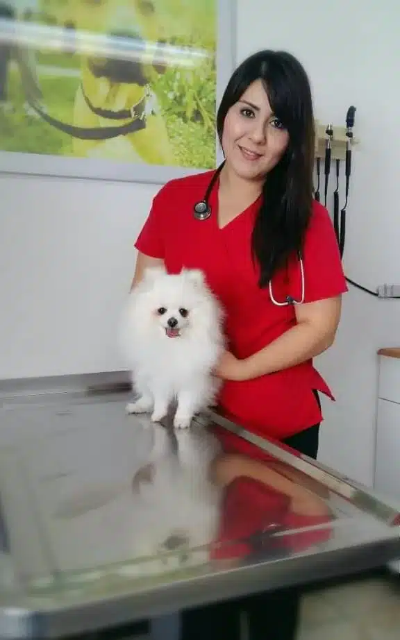 Dr. Areli Priscila Caballero Rodriguez